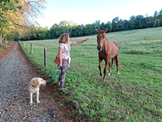 IMG-20250904-WA0018[1](1)